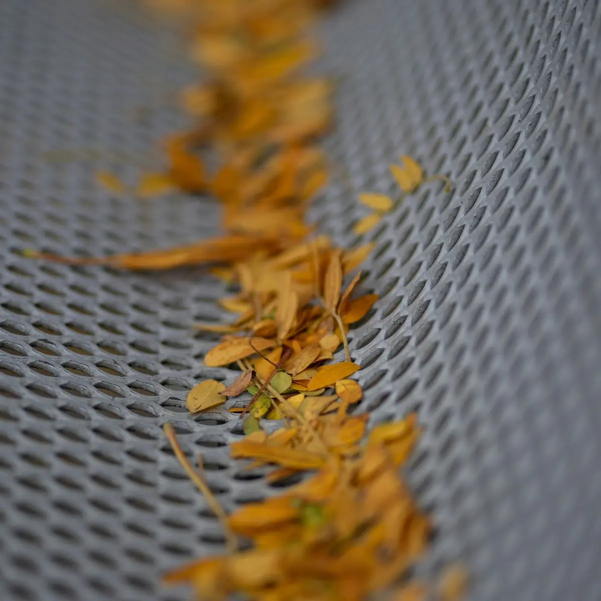 Dry leaves resting on top of a metal mesh gutter guard instead of inside the gutter
